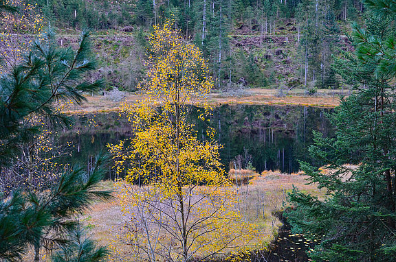 Huzenbacher_See_DSC_4459.jpg  