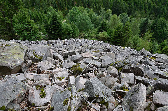 Blockhalde am Altsteigerskopf