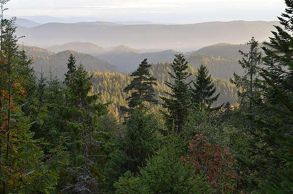 Blick vom Melkereikopf