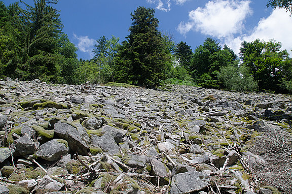 Granit-Blockhalde in Seebach