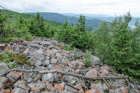 Blockhalde am Westabhang des Seibelseckle