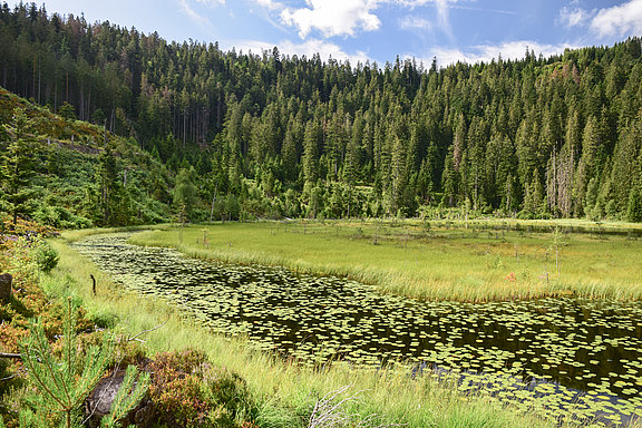 HH_DSC_0012_Huzenbacher_See.jpg  