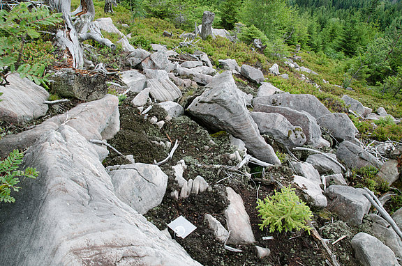 durch rezente Erosion freigelegte Blöcke am Ostabhang Seibelseckle