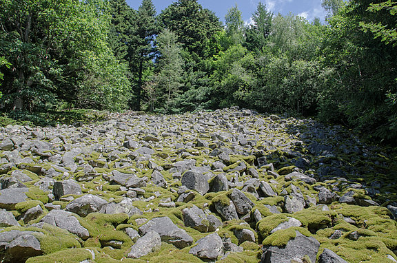 Granit-Blockhalde in Seebach